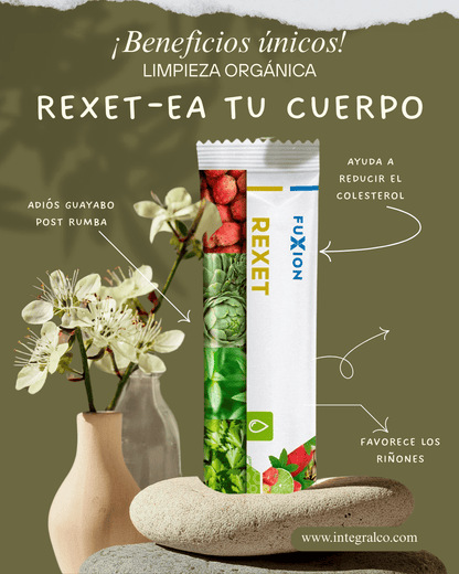 REBOOT / Rexet-ea tu cuerpo del malestar general