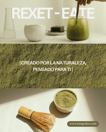REBOOT / Rexet-ea tu cuerpo del malestar general